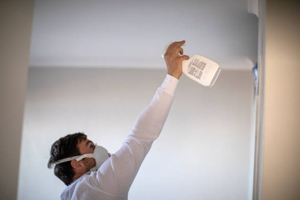 Best Professional Mold Removal  in Madras, OR