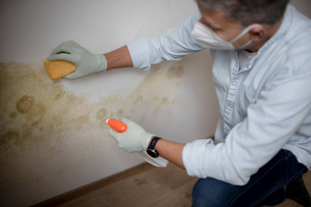 Best Mold Testing  in Madras, OR