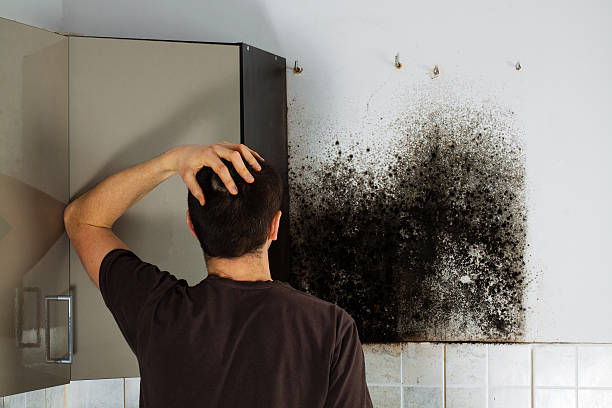 Best Crawl Space Mold Removal  in Madras, OR