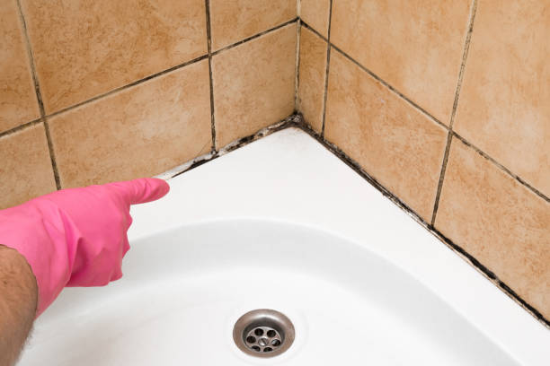 Certified Mold Removal in Madras, OR